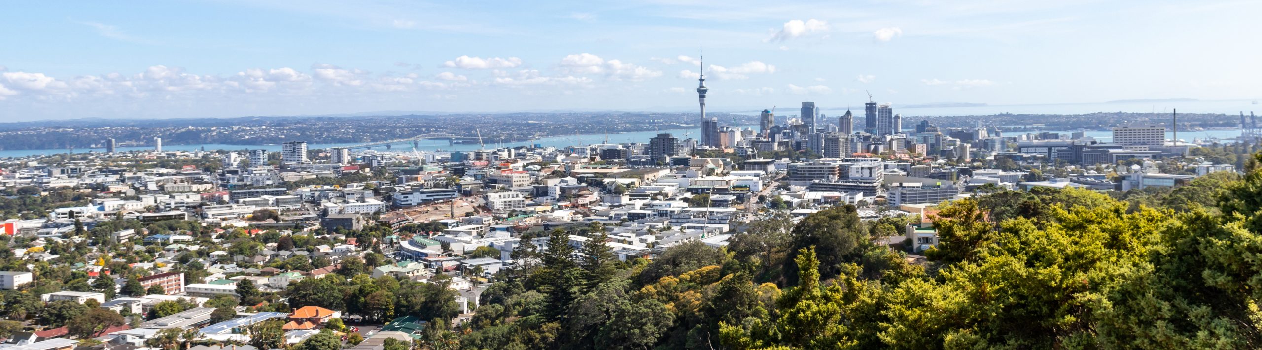 Property in Auckland, NZ, rental agency, property management, property, rentals,