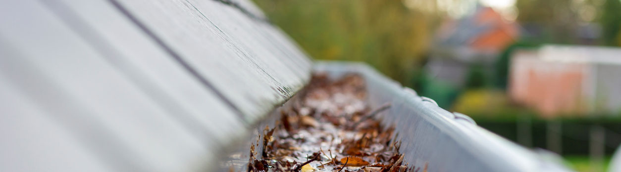 winter maintenance, property management, rental property, gutter cleaning