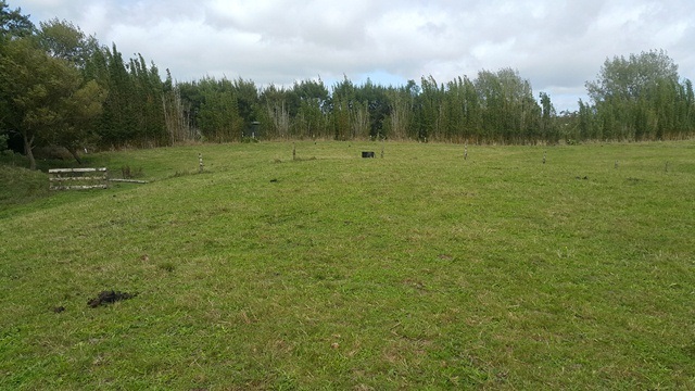 DRURY - Rural Oasis - 5 Acres - NO LETTING FEE photo