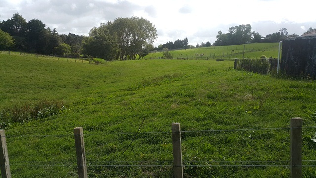 DRURY - Rural Oasis - 5 Acres - NO LETTING FEE photo