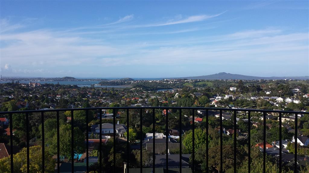 Remuera photo