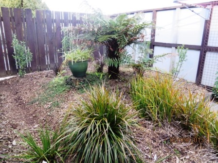 ST HELIERS -  West Tamaki Road  Two Bedroom Townhouse with Healthy Homes Compliance  A Real Gem photo