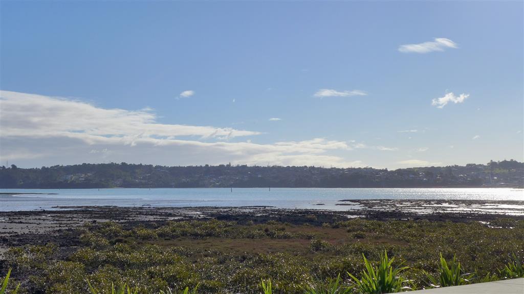 Mangere Bridge - Freshly Renovated photo