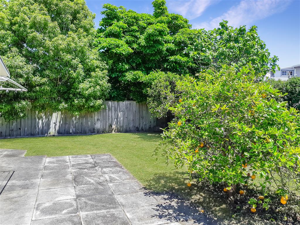 GREENLANE - Peace and Privacy photo