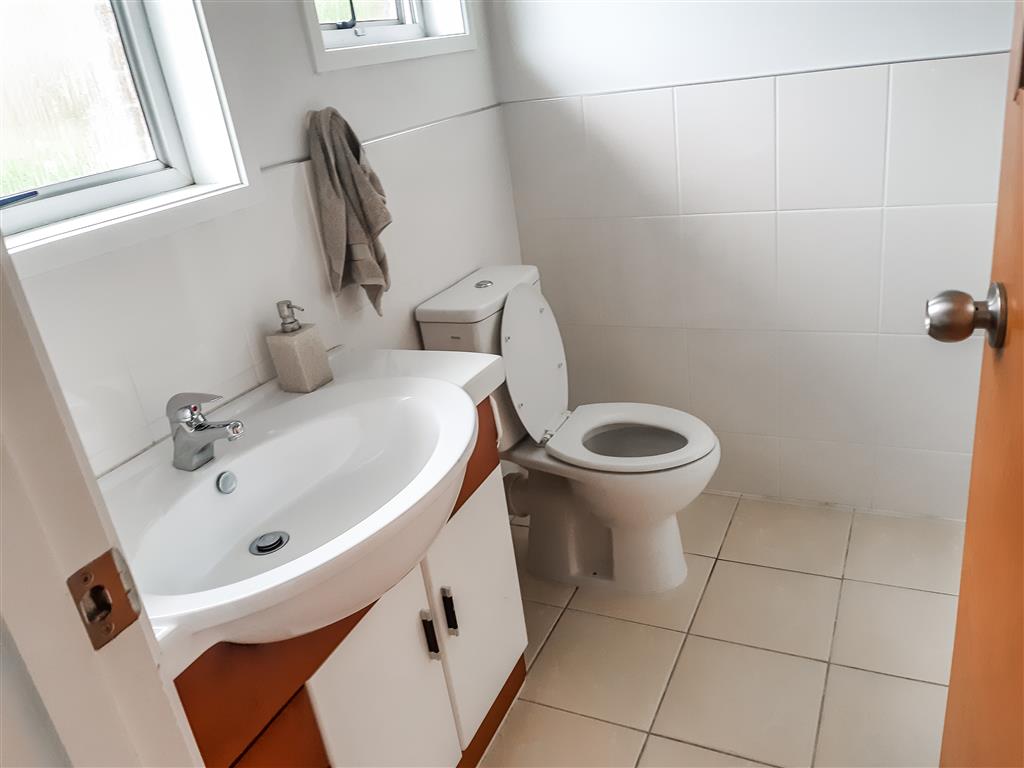 GREENLANE - Peace and Privacy photo