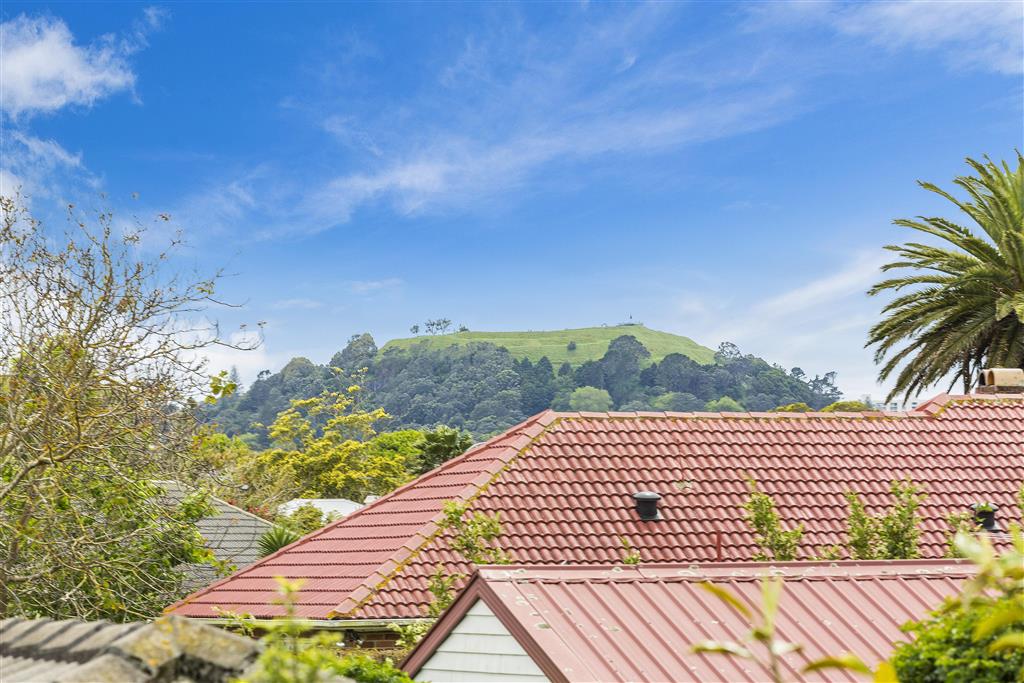 Sunny Elevated Unit - Perfect for Single/Couple photo