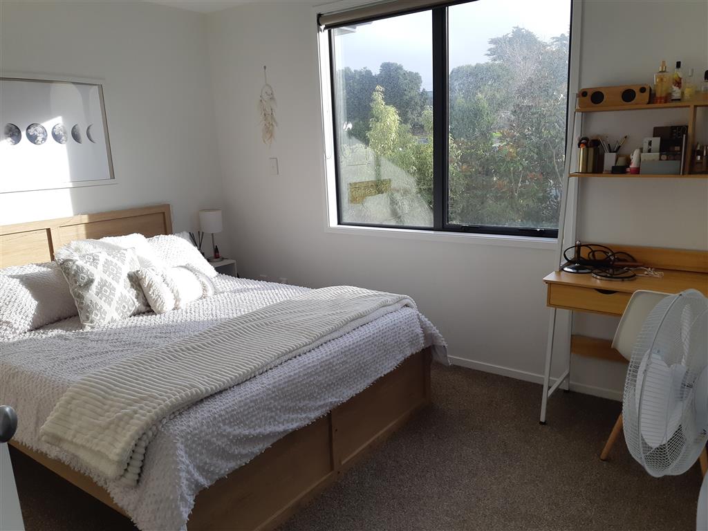 Mt Wellington photo