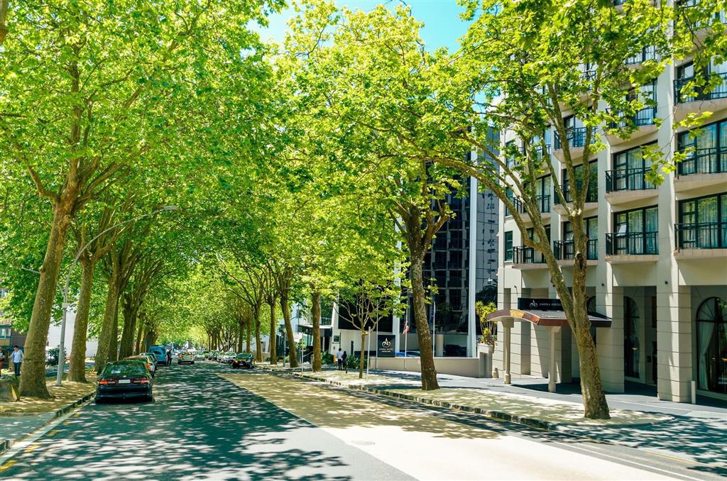 CITY CENTRAL - Furnished Studio, 1 Carpark, Water & Power Included photo