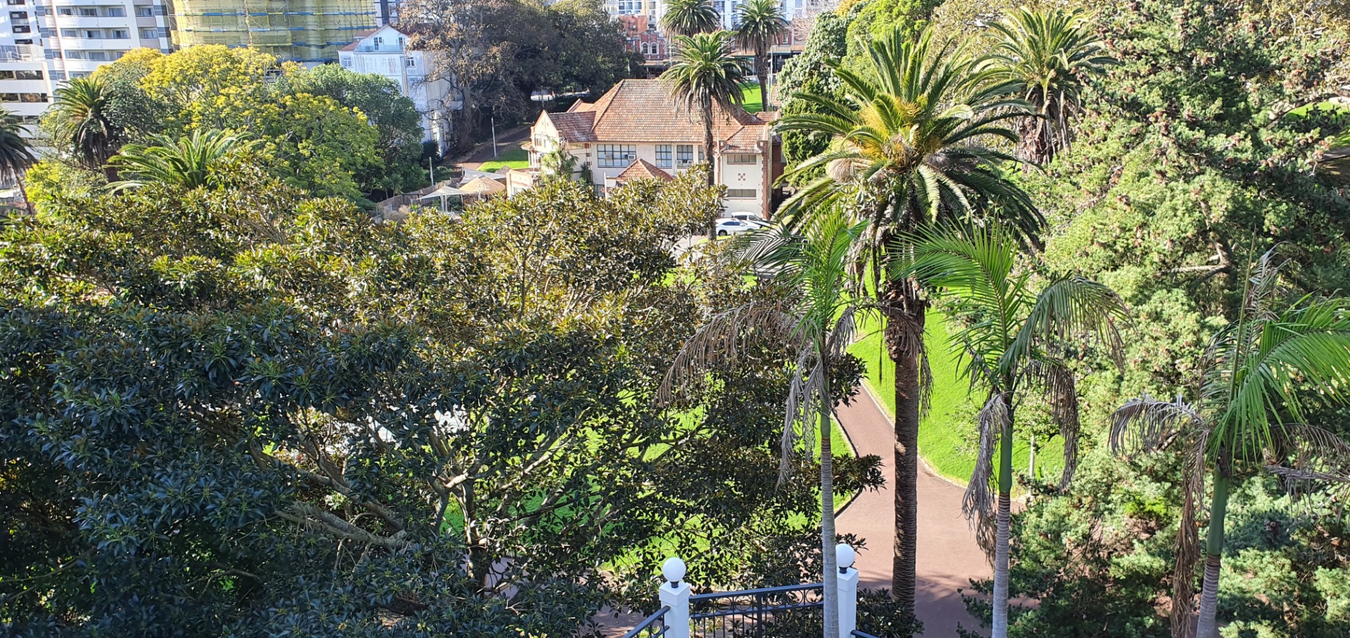 A steal! Corner Studio apt WATER/POWER INCLUDED in rent photo