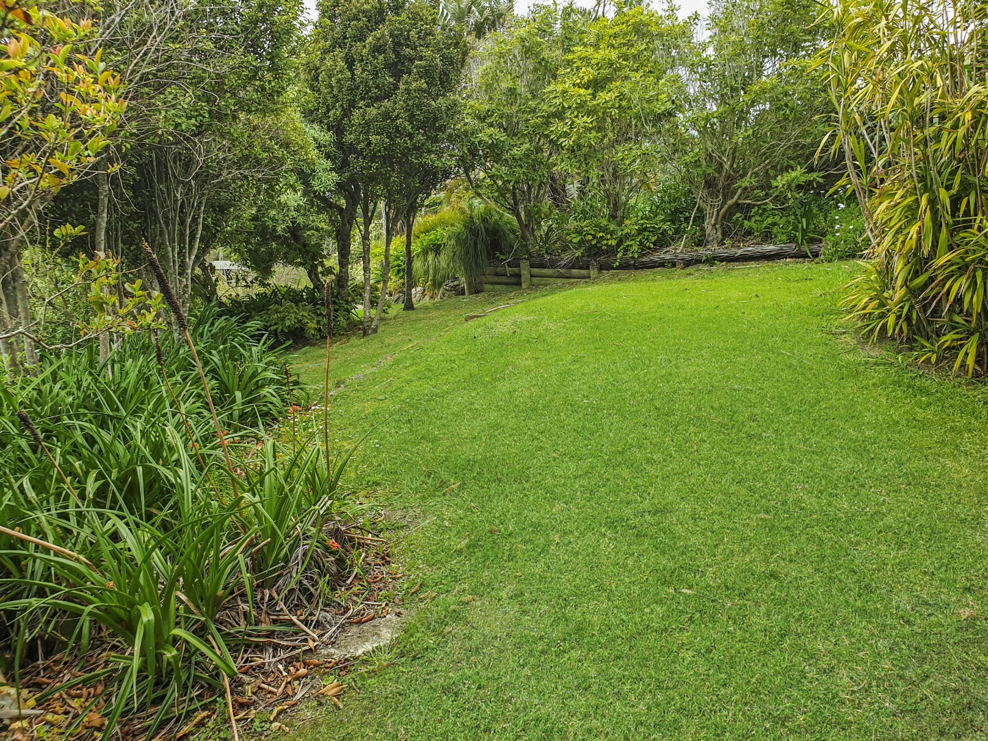 **Spacious 3-Bedroom Family Home in Oneroa – $750 per Week** photo