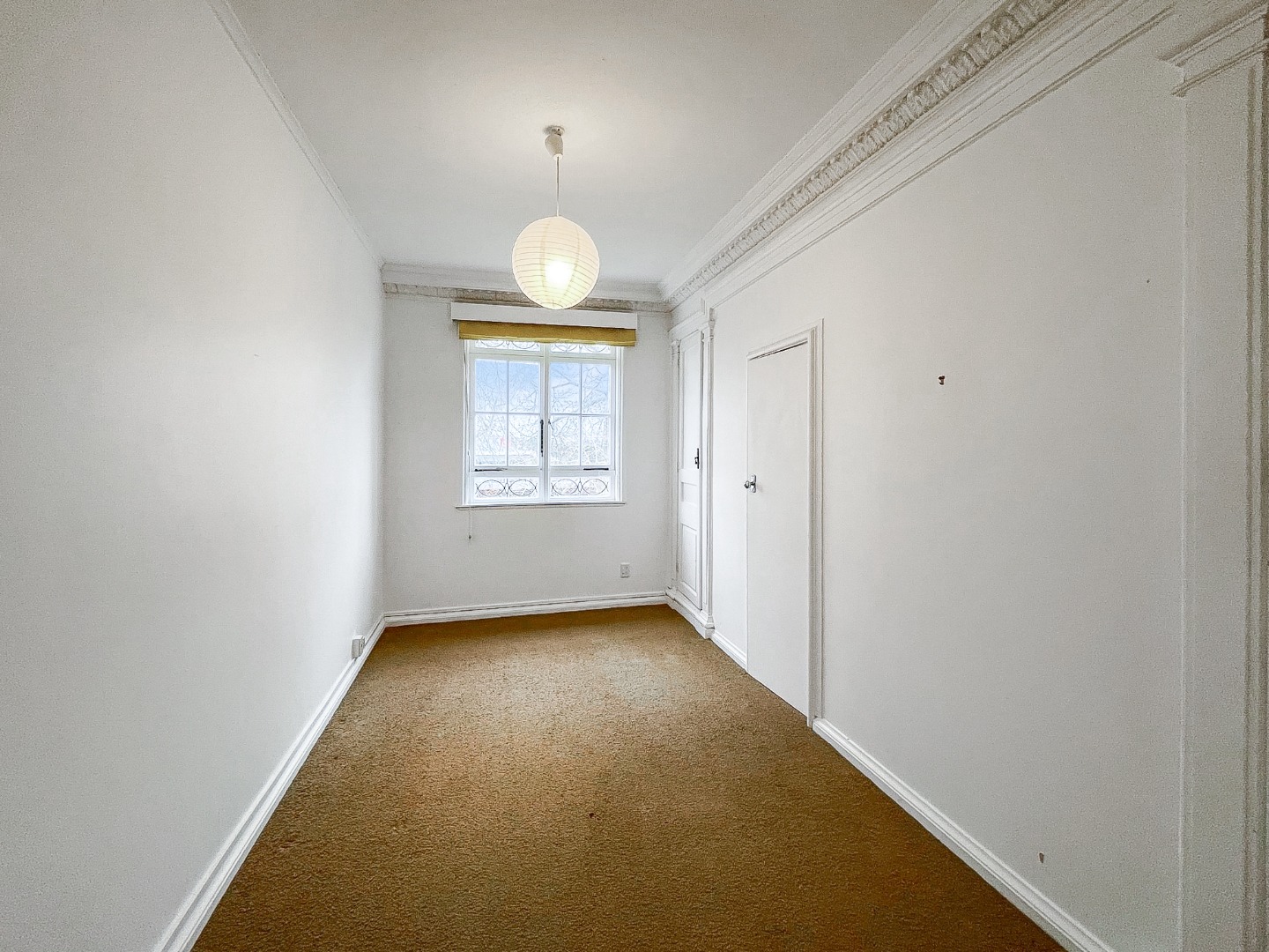 Affordable 3 bedroom home in Remuera photo