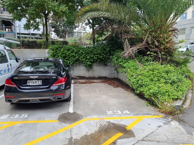 Saint Lukes - At Morningstar photo