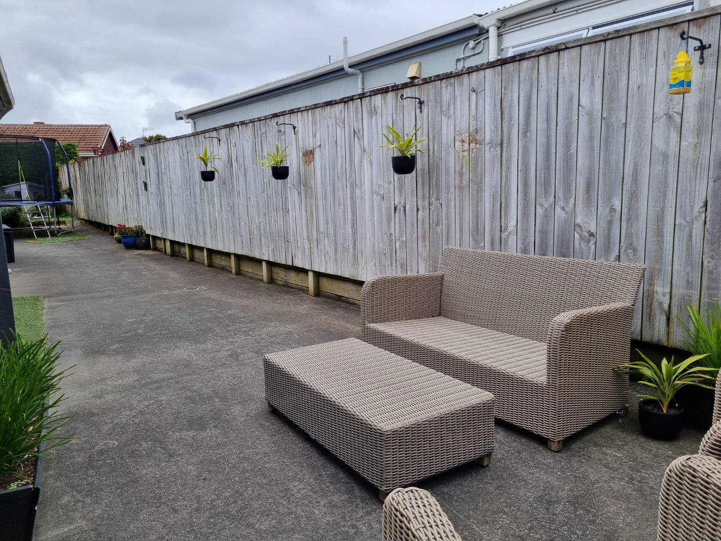 GREENLANE - Peace and Privacy photo