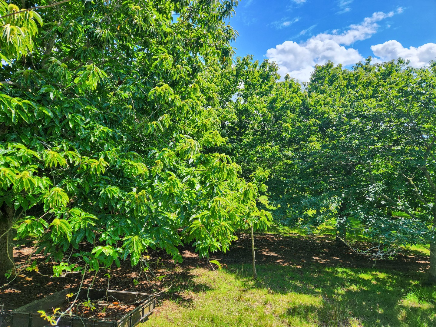 Te Kauwhata - Country Atmosphere - 2 Bedroom House with Tranquil View photo