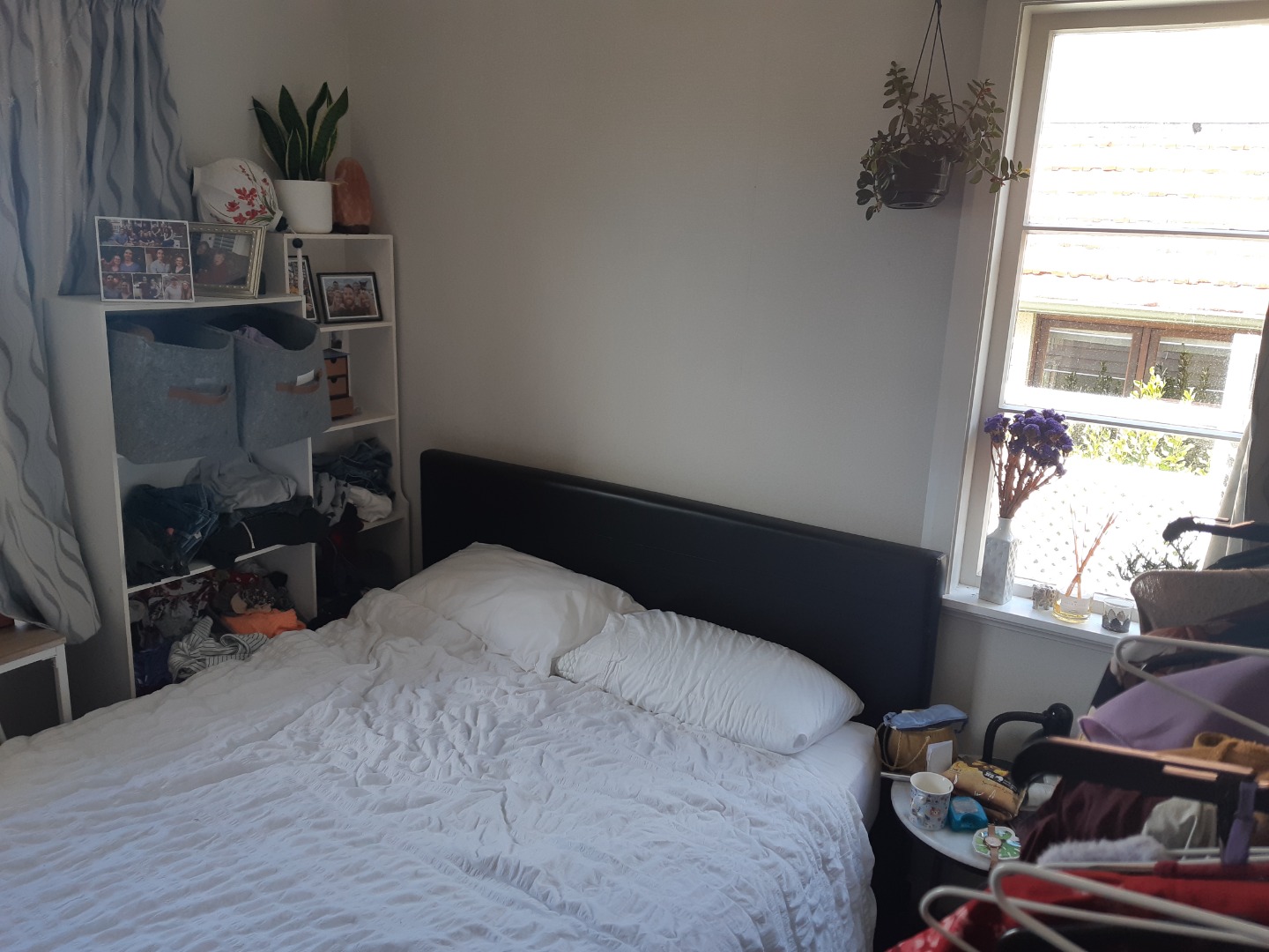 Remuera photo