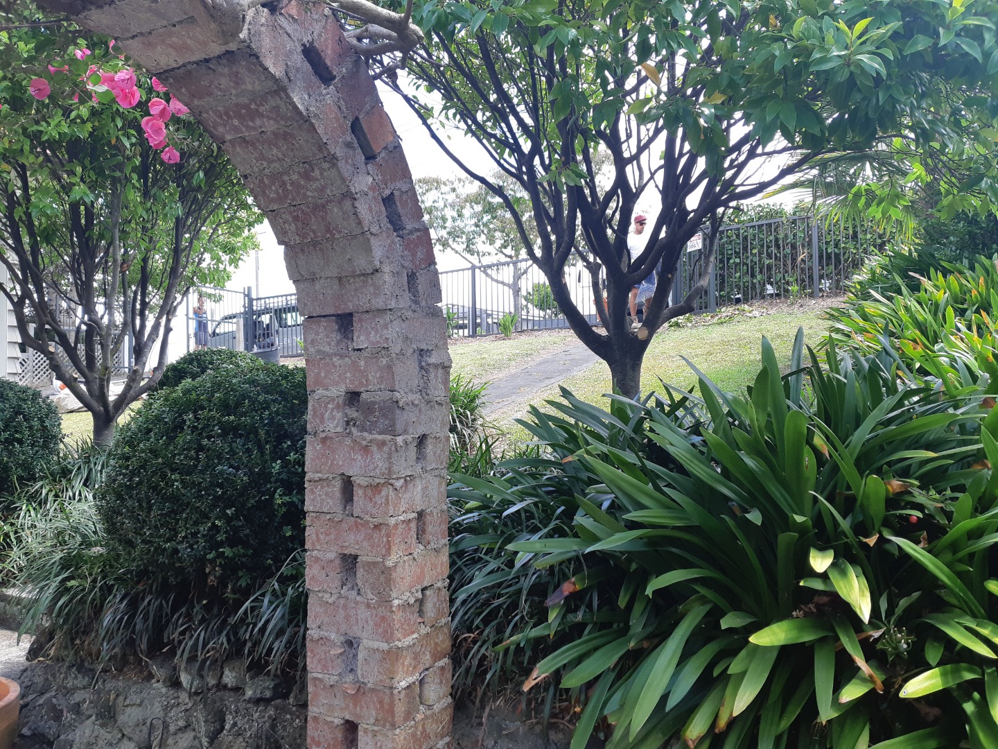 Remuera photo