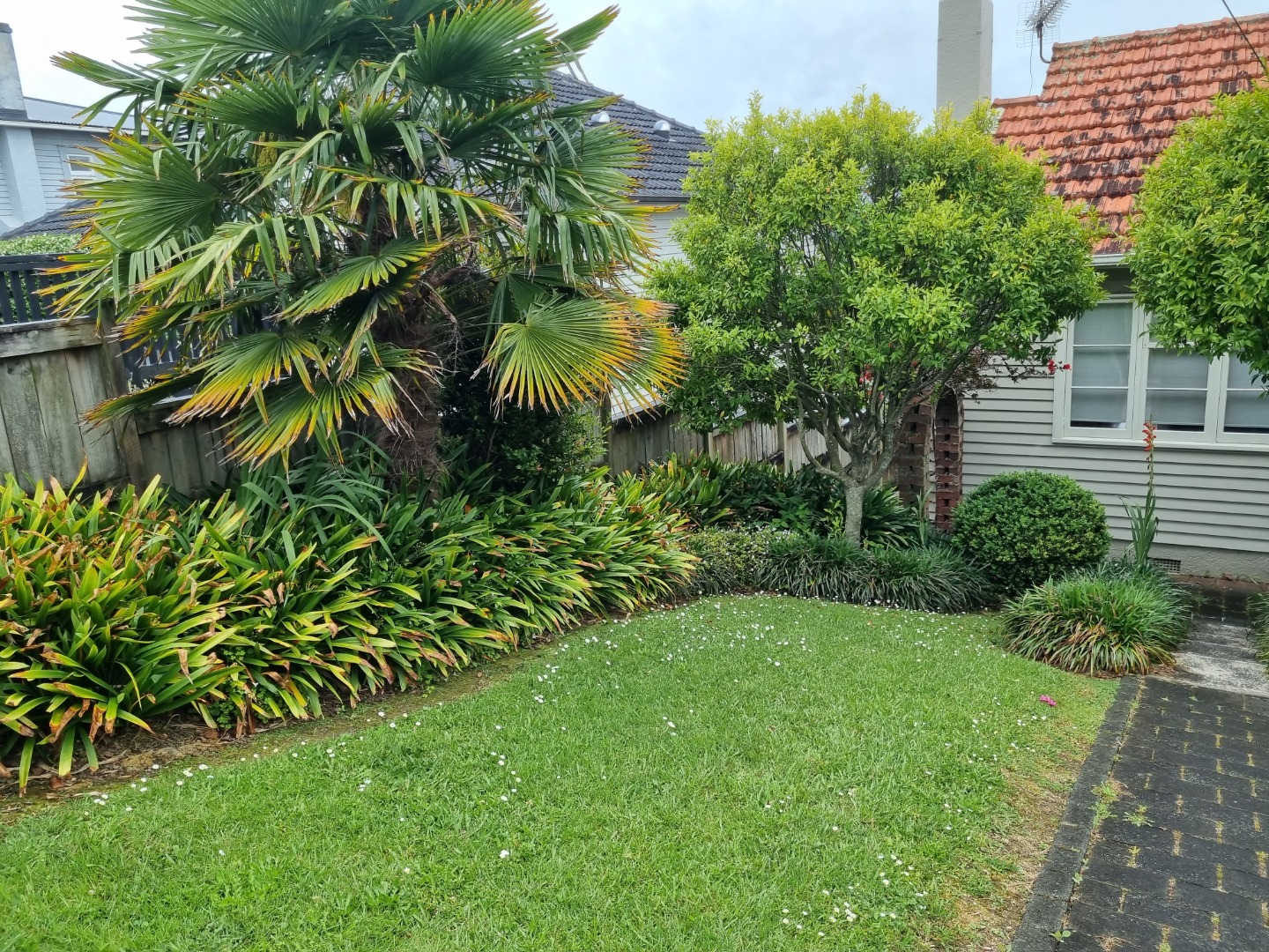 Remuera photo