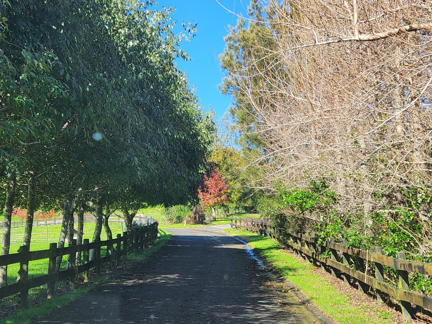 Opaheke - Rural Location - Fabulous Views photo