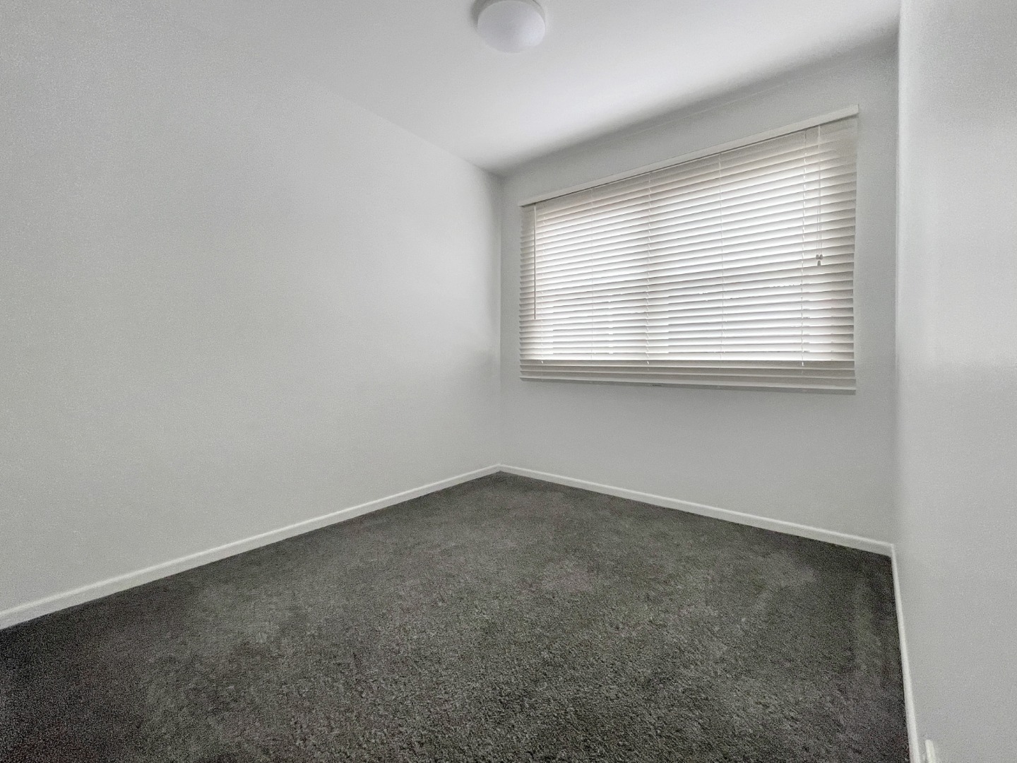 Easy Living in Grammar Zone photo