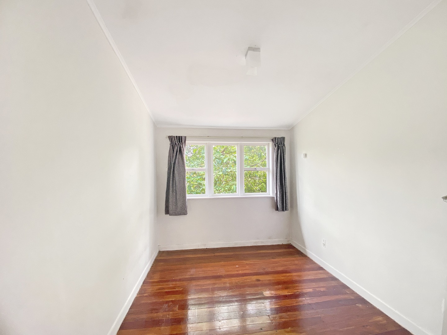 Tidy Home in New Lynn photo