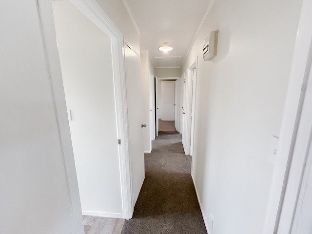 Otara - 3 Bedroom Home photo