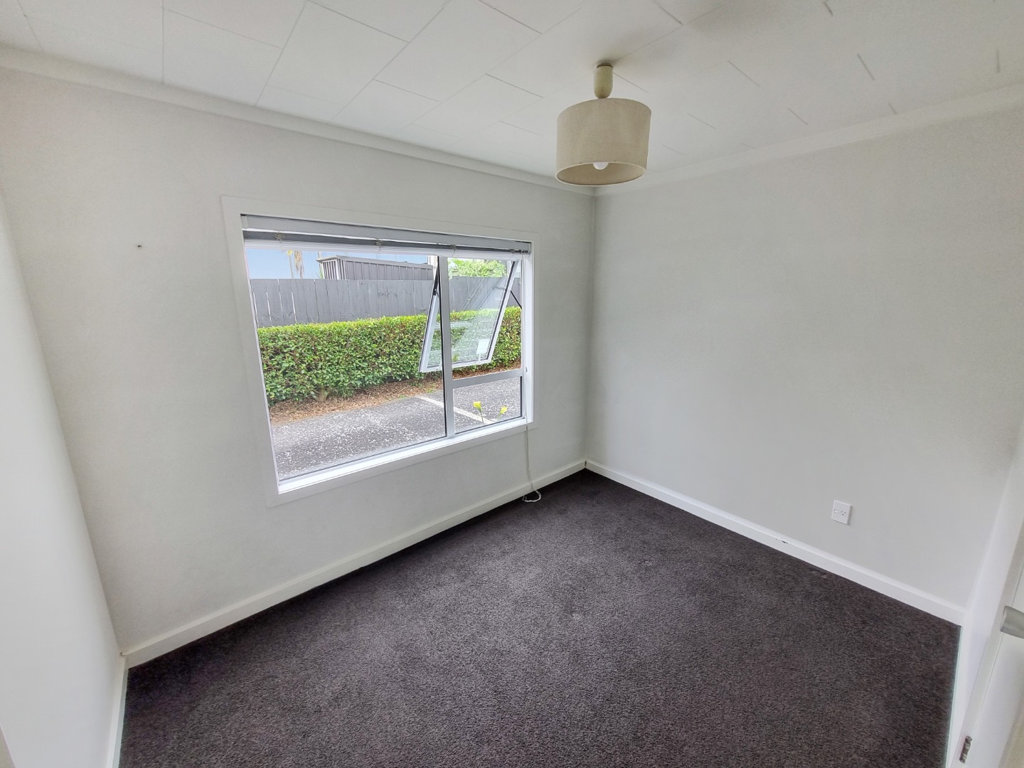 NEW LYNN photo