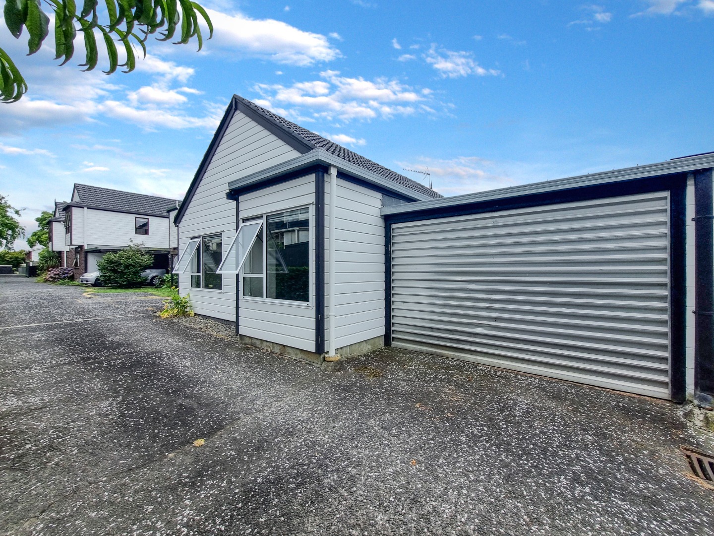 NEW LYNN photo
