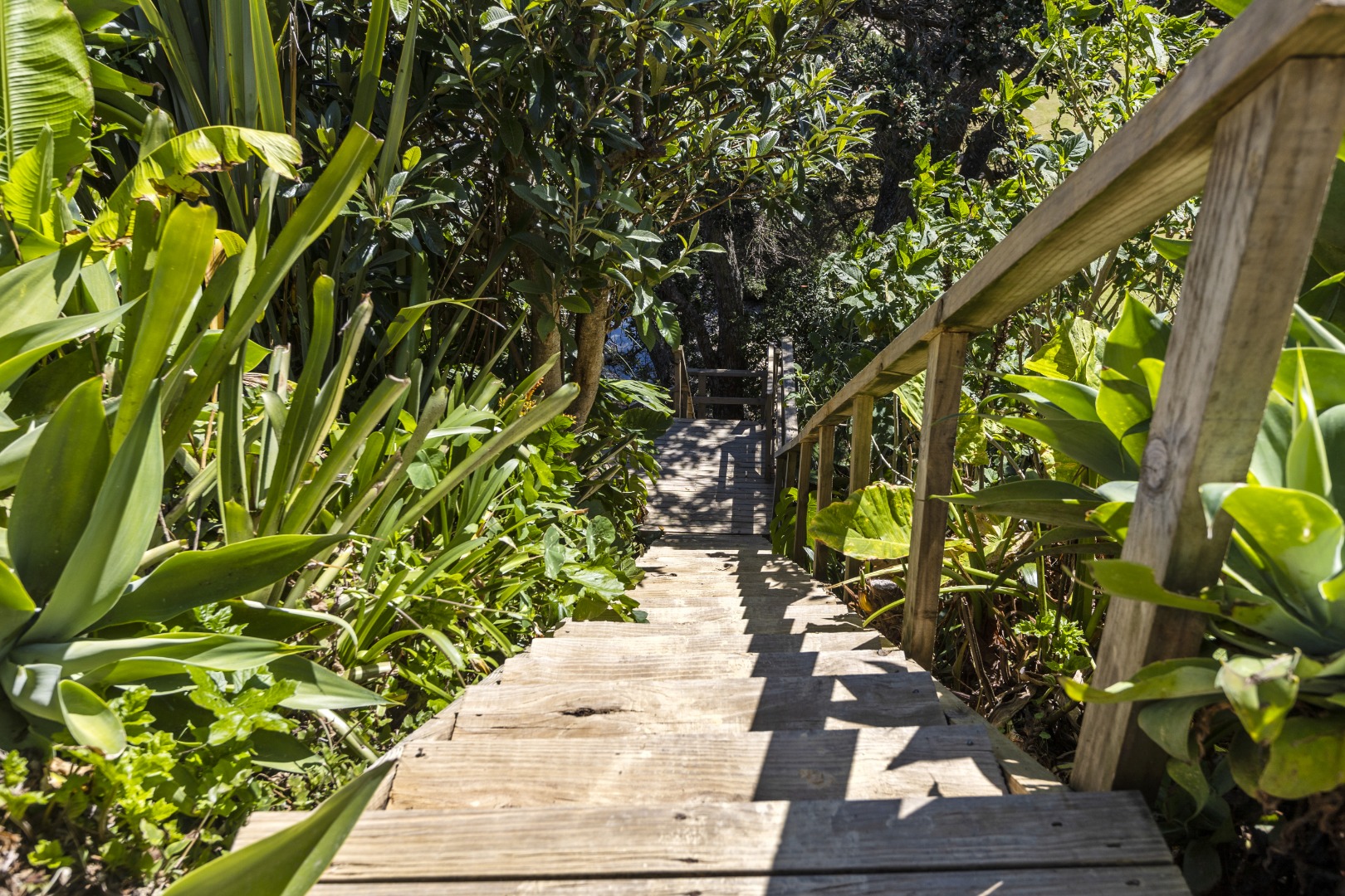 Commanding Clifftop Residence $850 p/w photo