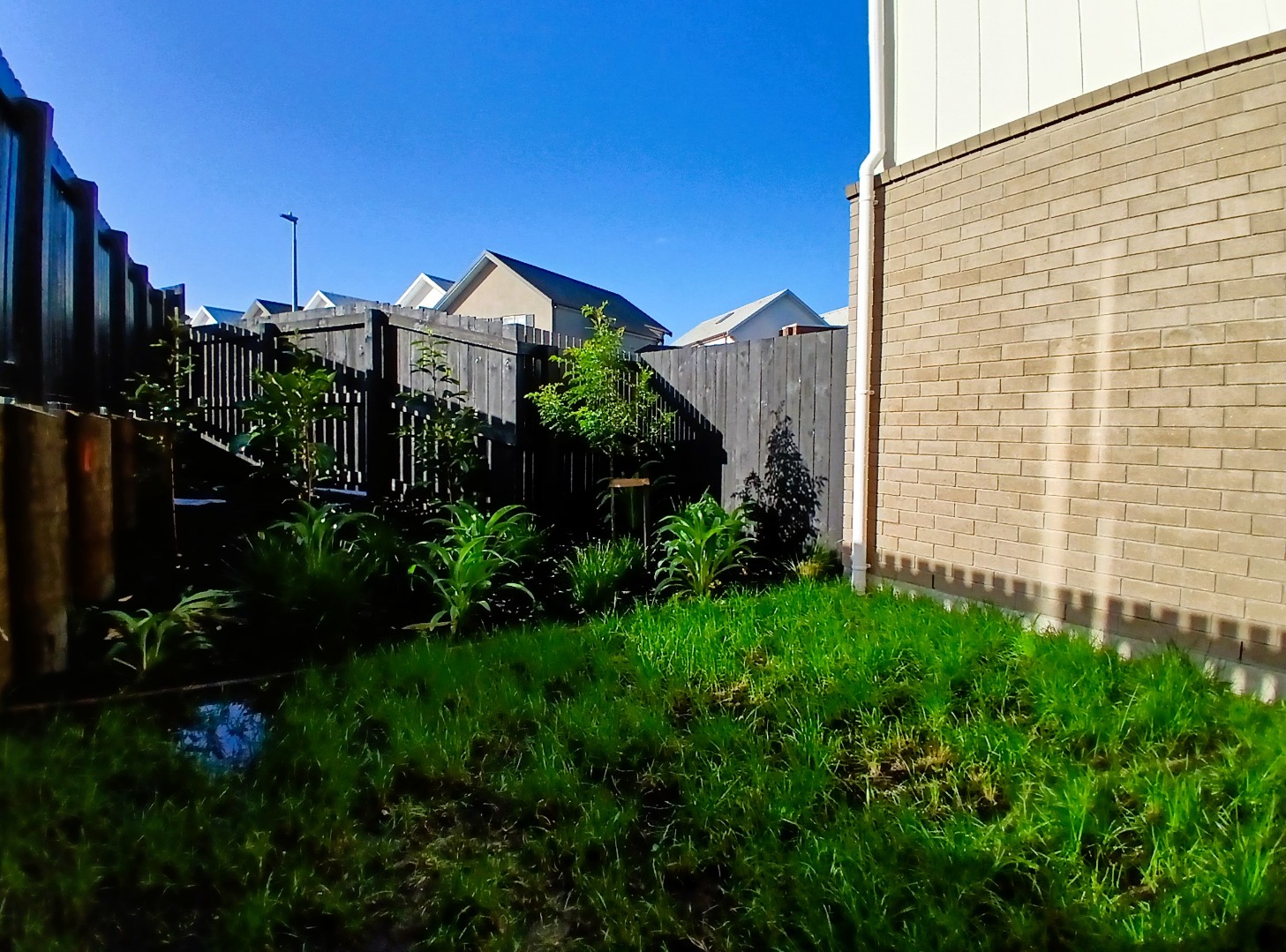 3 Bdrm Townhouse  in Mangere Bridge  photo