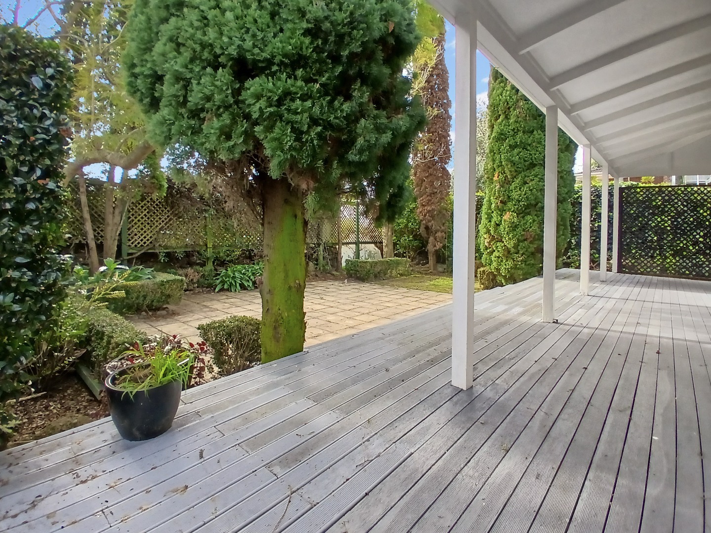 Peacefull four bedroom Mount Eden Home! photo