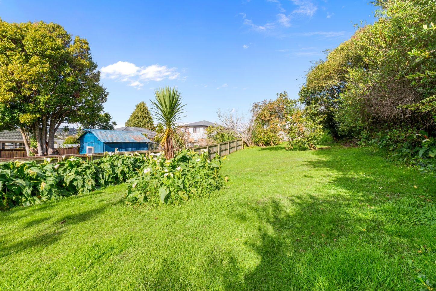 Sunny 3 bedroom family home in Glen Eden photo
