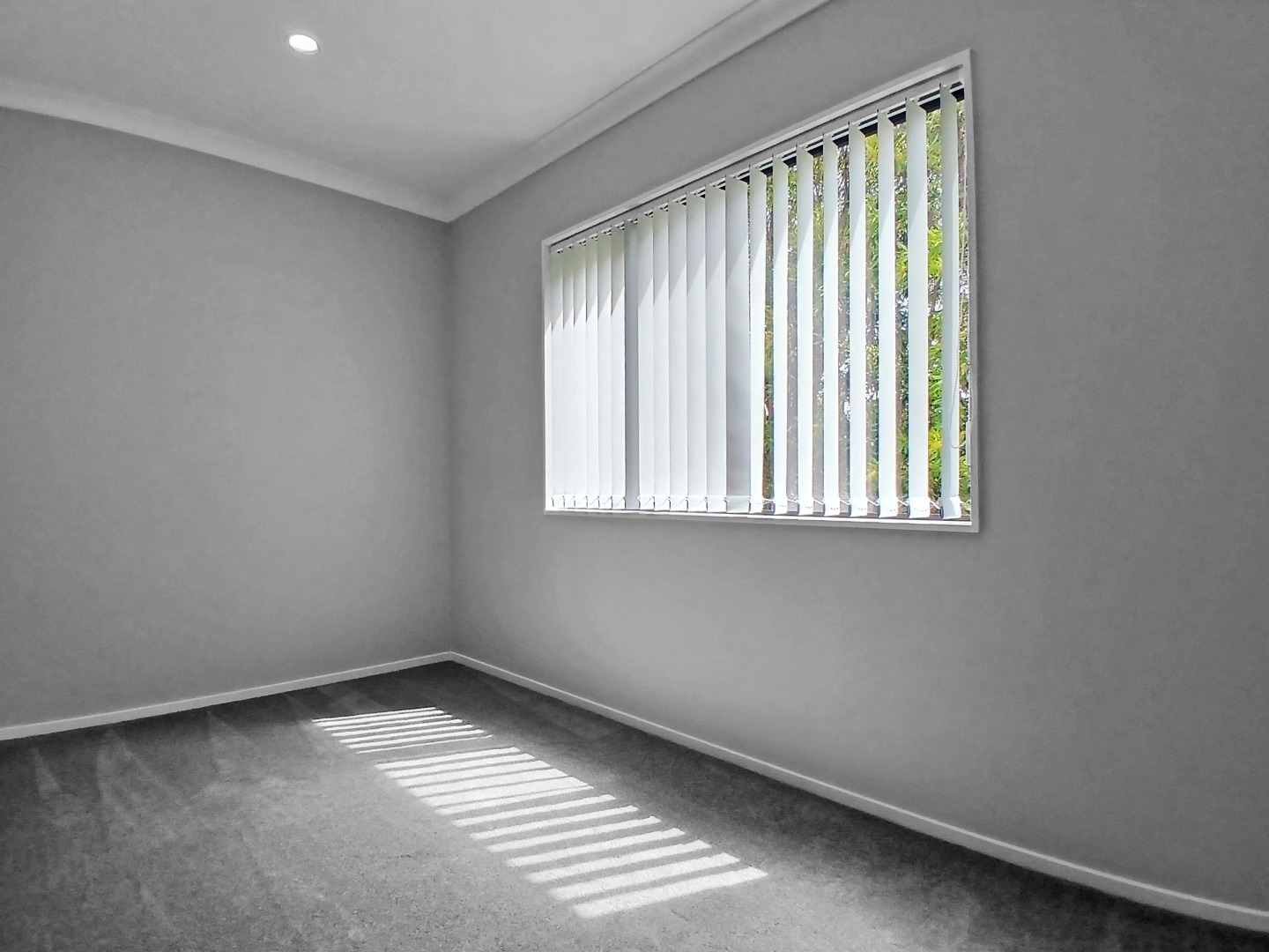  Brand new  stunning four bedroom home Massey! photo