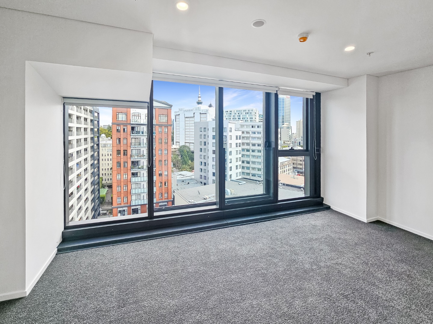 Auckland City - 1brm apartment photo