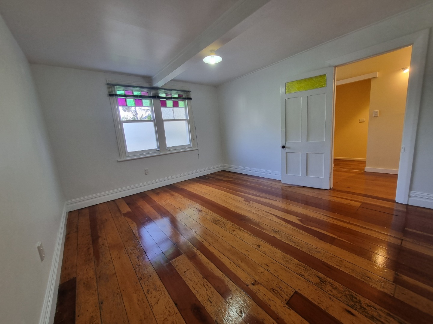 GREY LYNN photo