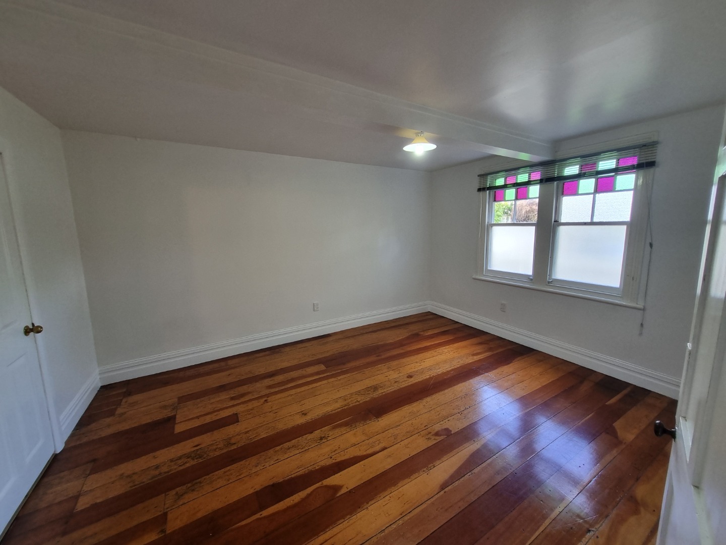 GREY LYNN photo