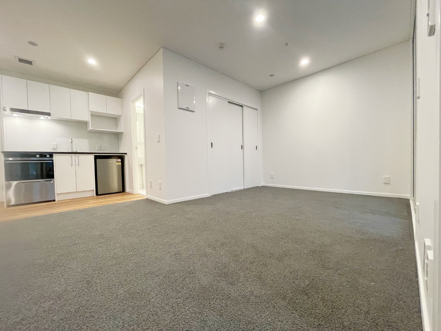 Newly renovated spacious Studio with Bonus Living Area photo