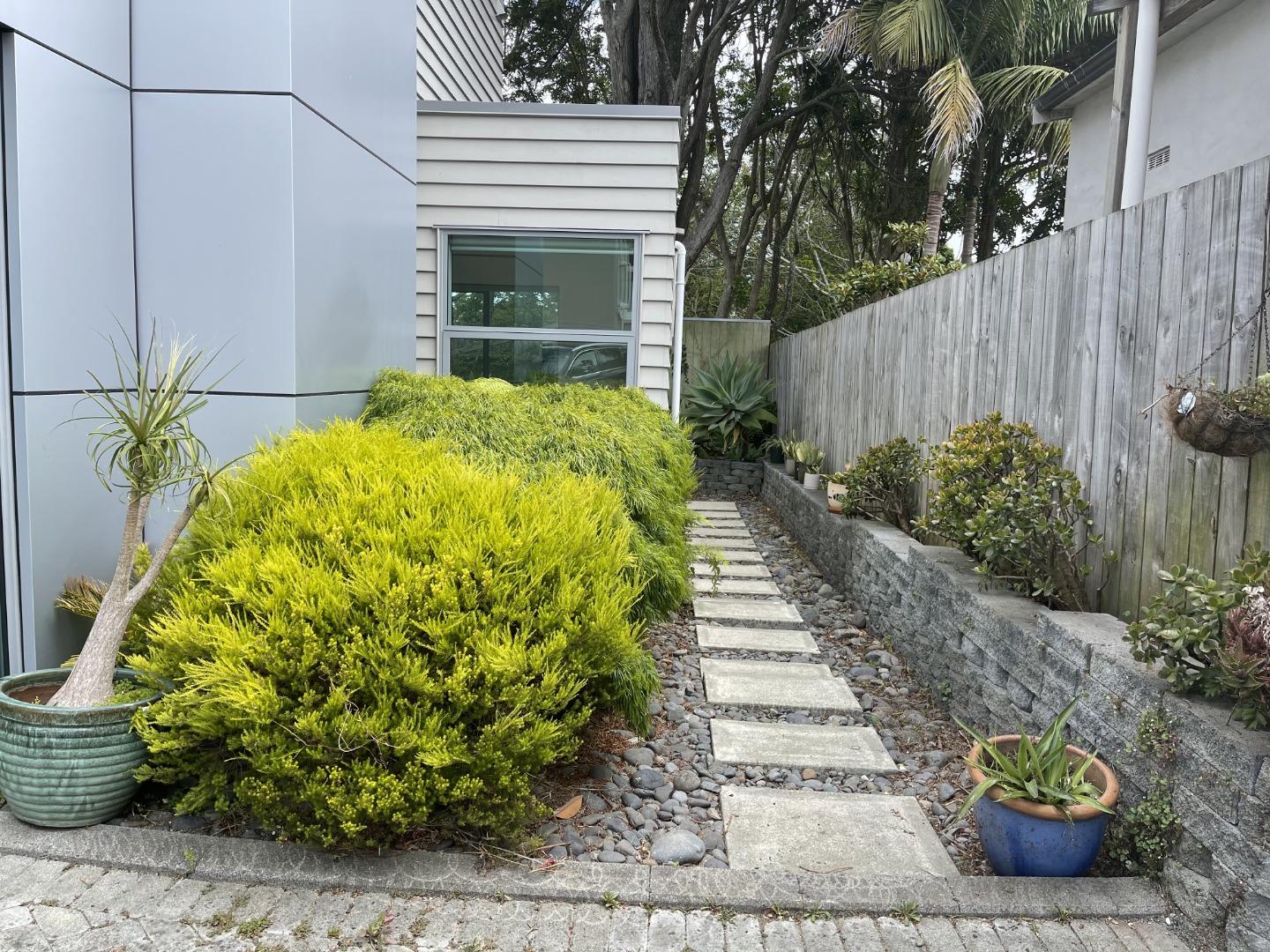 Mount Eden photo