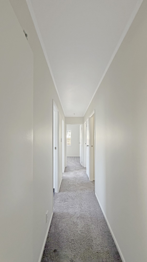 RANDWICK PARK - 3Brm + Rec room + Office + Covered Deck/BBQ area photo