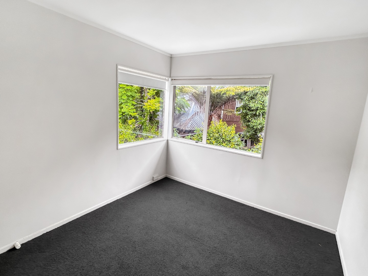 REMUERA - 3 bedroom home in double grammar zone photo