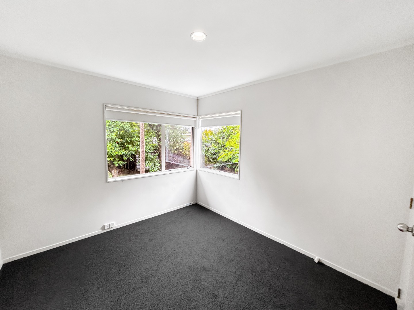 REMUERA - 3 bedroom home in double grammar zone photo