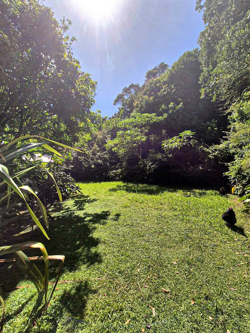 Charming Two-Storey 3-Bedroom Home in Palm Beach – $875/week photo