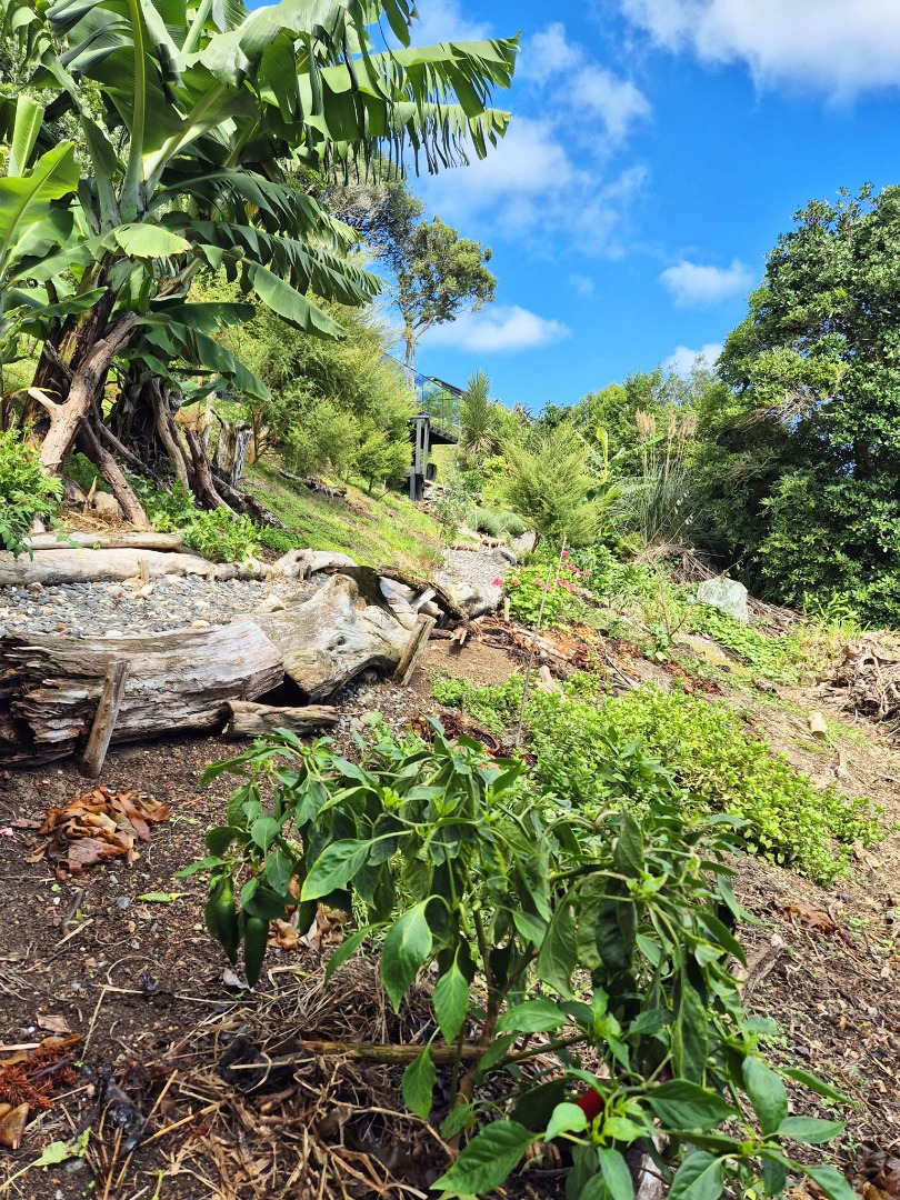 Enclosure Bay Retreat $725 p/w photo