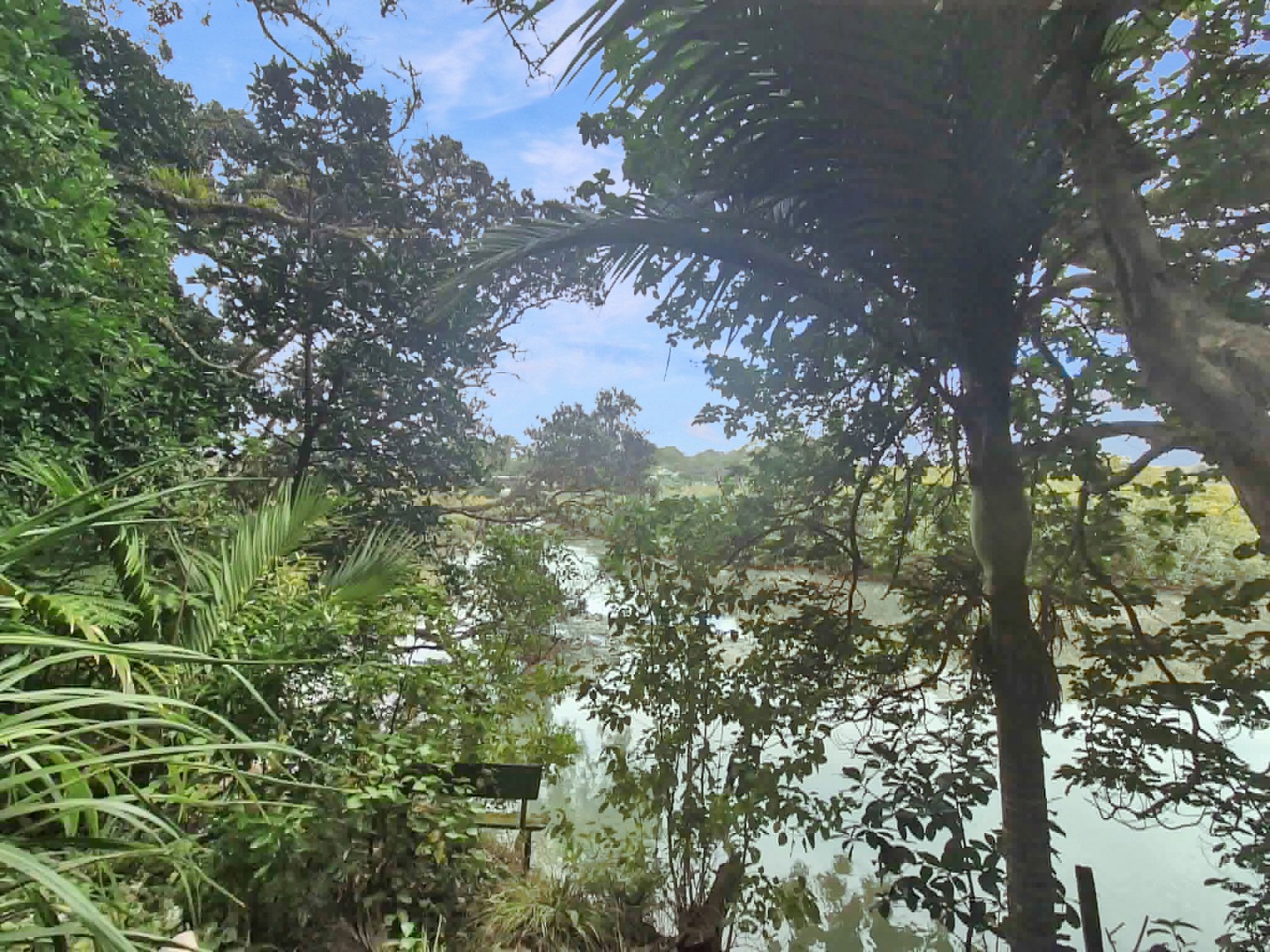 Tranquil Bush Retreat by the Estuary – Character Cottage + Studio $550 p/w photo