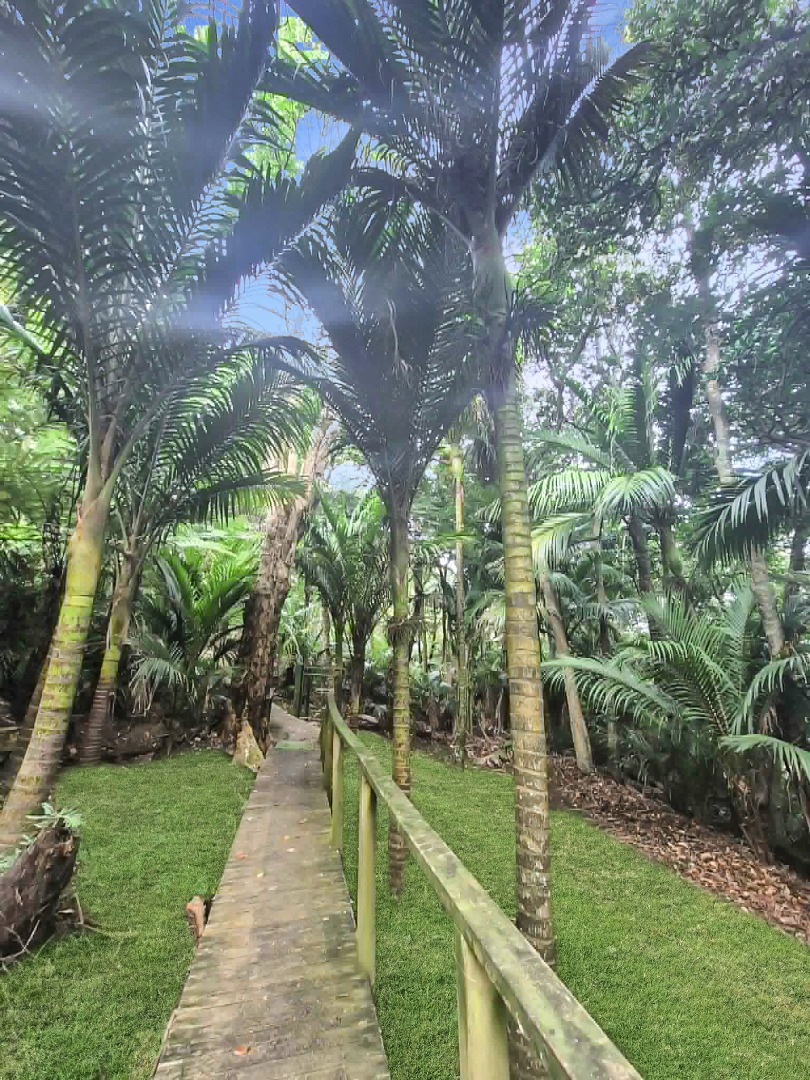 Tranquil Bush Retreat by the Estuary – Character Cottage + Studio $550 p/w photo