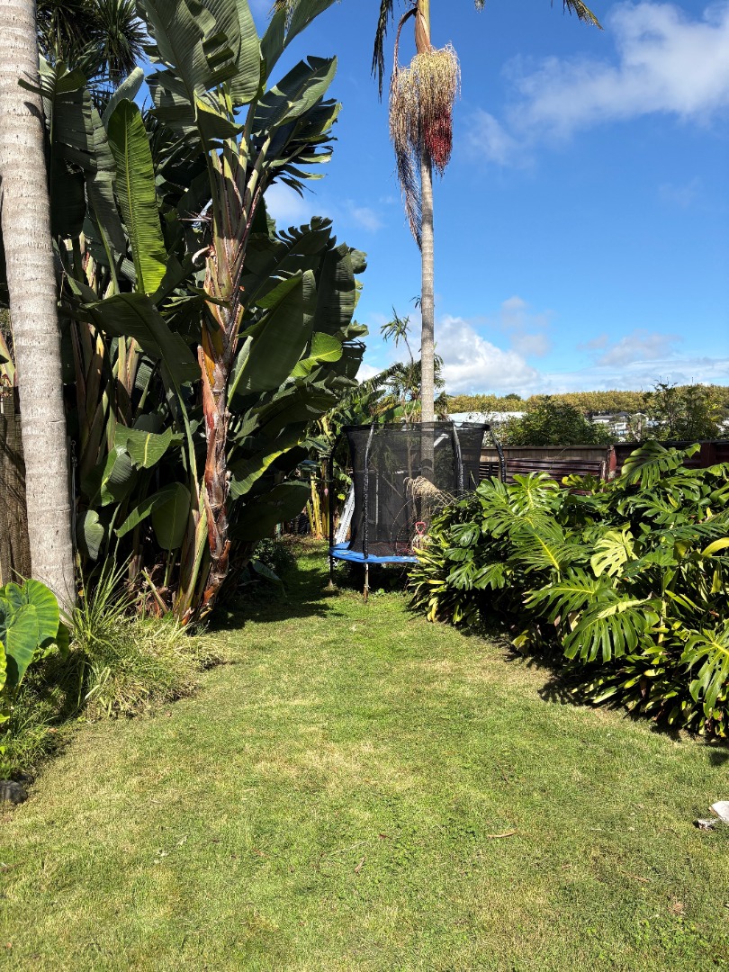 Grey Lynn Villa photo